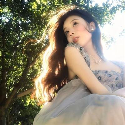 爱尔兰的弗兰克
