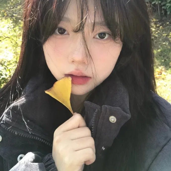 丝绸之路